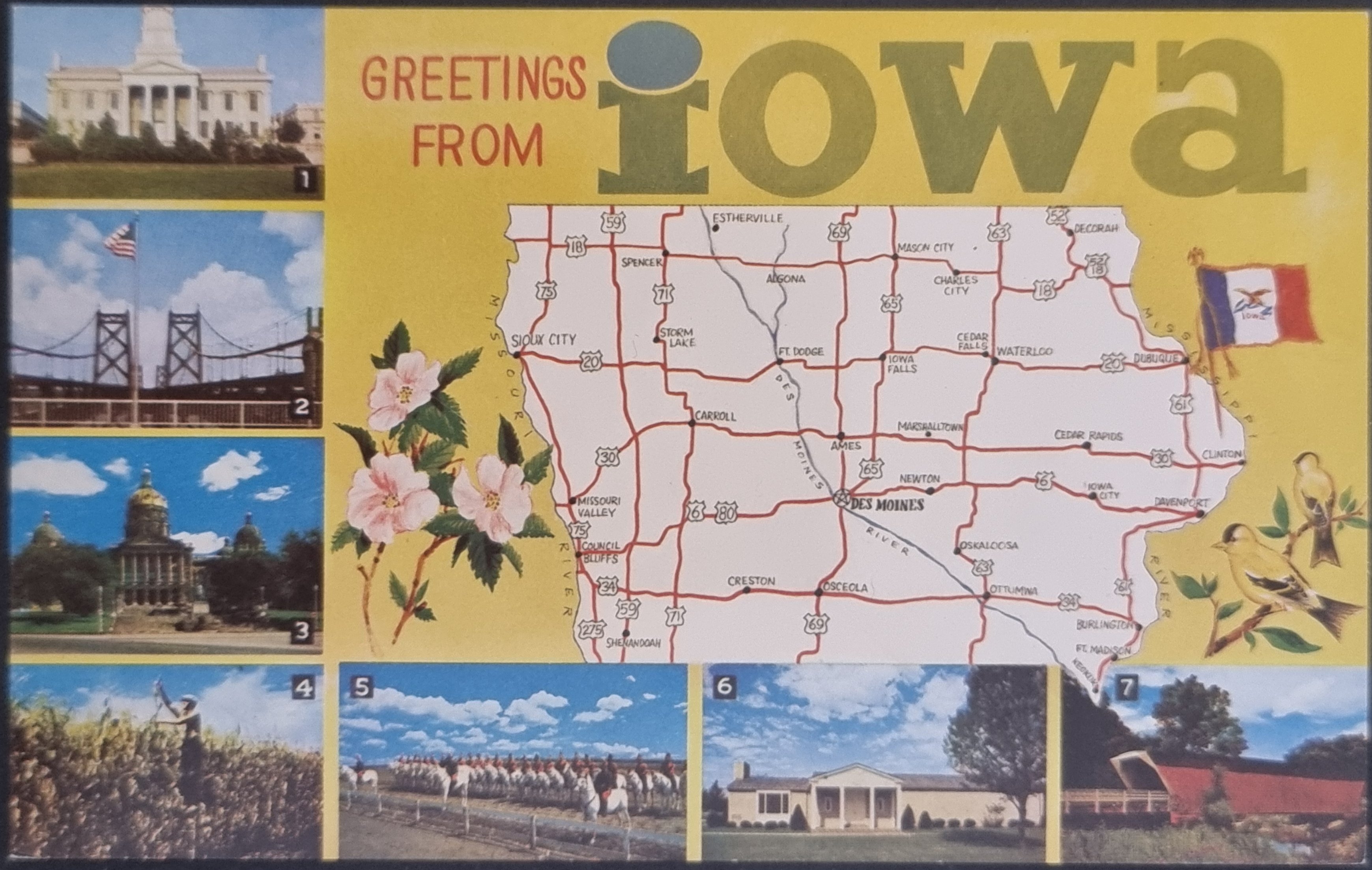 (image for) postcard Greetings from #0017